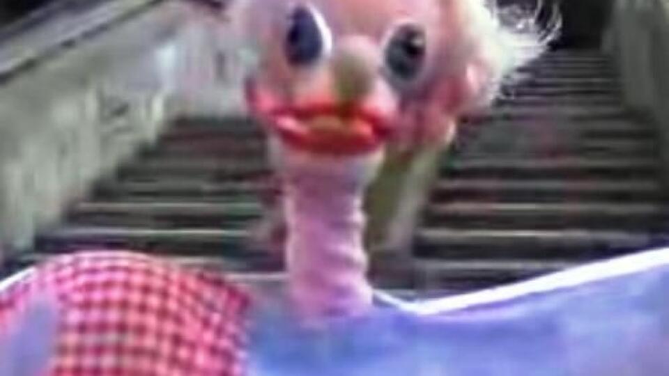 Archív