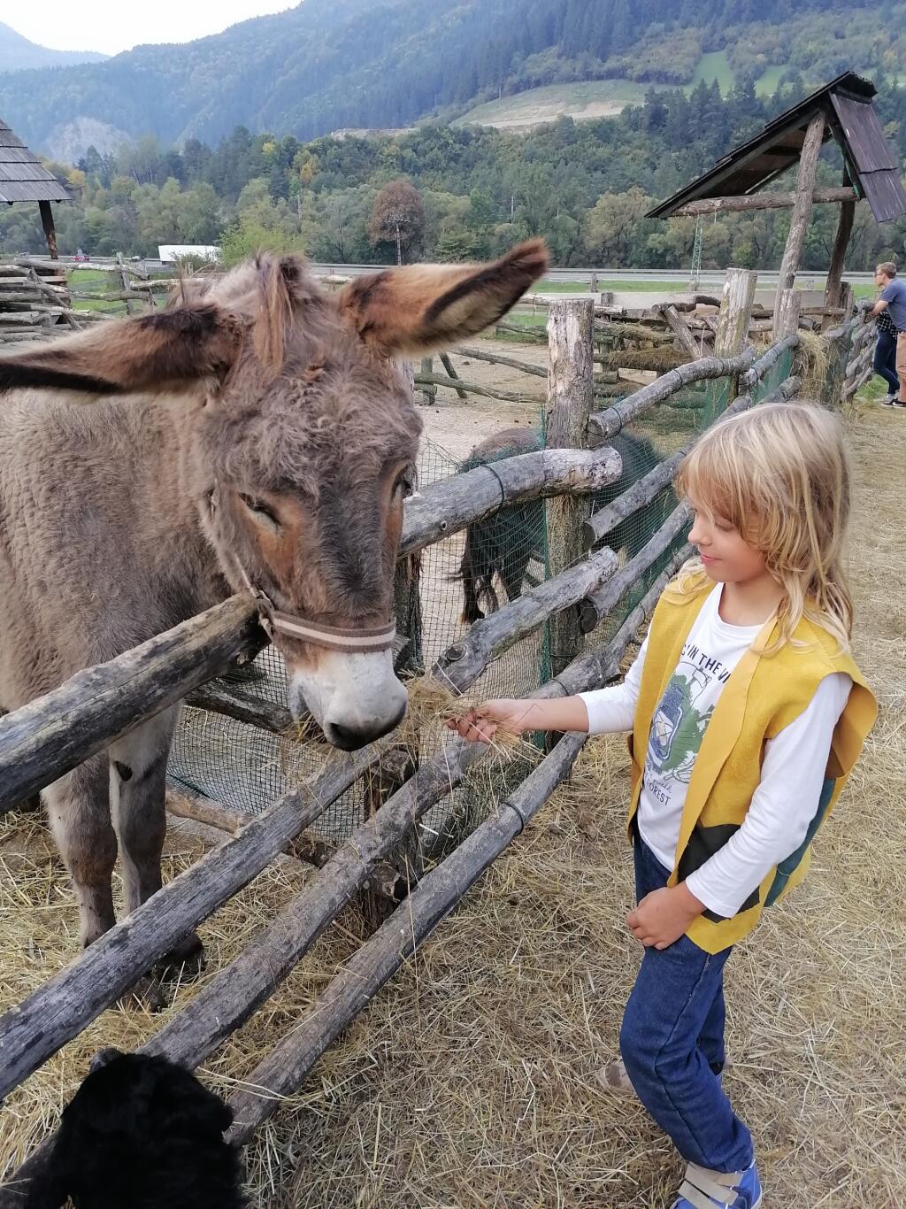 Domáci školáci sú dokonca lepší aj v sociálnych zručnostiach.