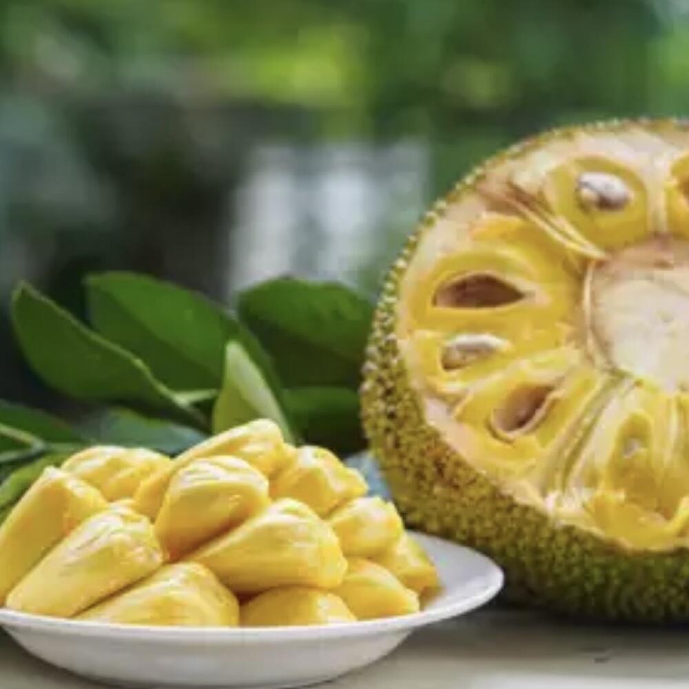 Jackfruit
