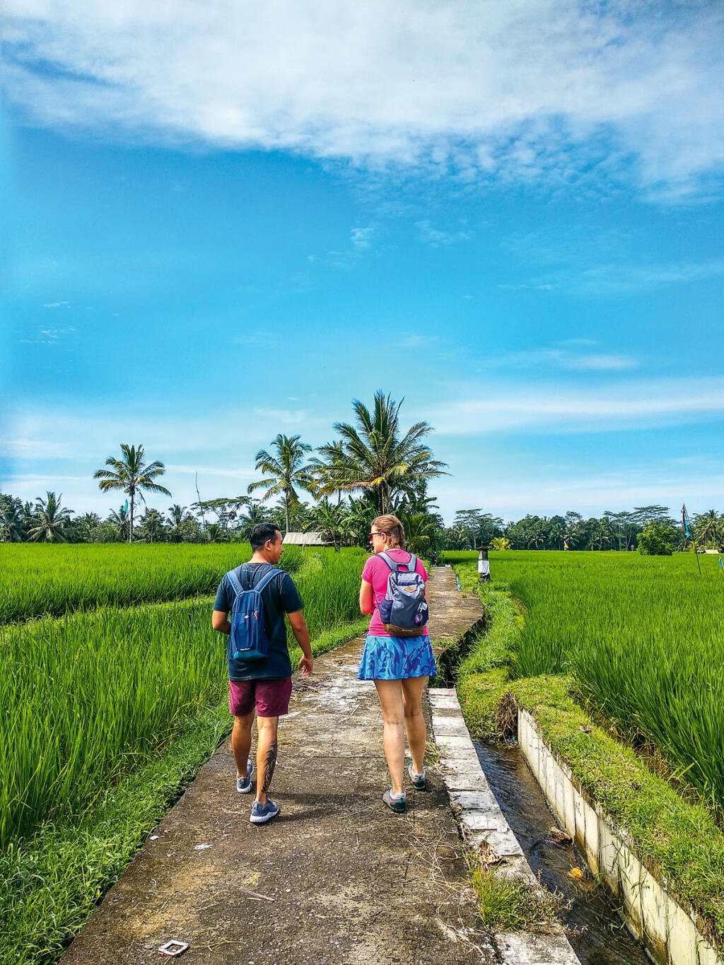 Bali - trek cez ryžové polia pri Ubude