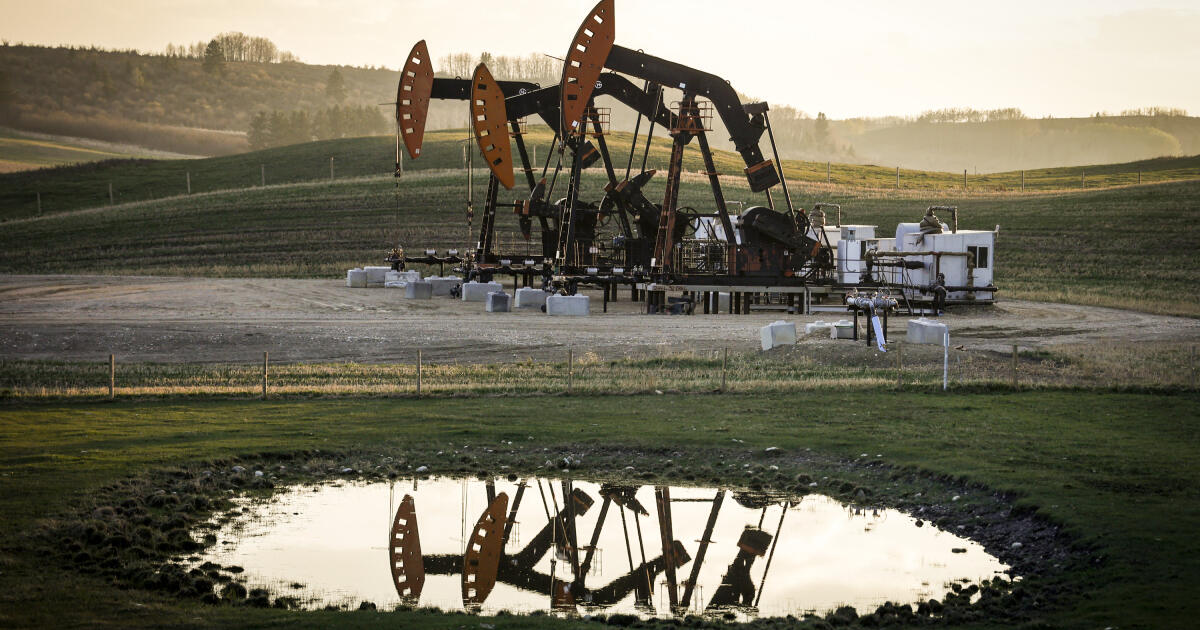 The OPEC cartel pulled out the hammer on the disobedient The OPEC cartel pulled out the hammer on the disobedient