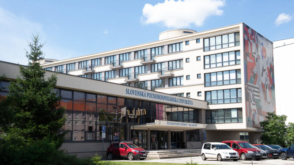 Slovenská poľnohospodárska univerzita v Nitre (SPU) začala s rekonštrukciou Študentského domova (ŠD) Mladosť. Zrekonštruované budú izby na prvom a druhom poschodí vrátane rekonštrukcie podláh, maľovania, výmeny elektroinštalácie, nákupu nového nábytku pre študentov. Celková investícia dosiahne zhruba 670.000 eur. Rekonštrukcia sa realizuje v mesiacoch júl až september, ukončená by mala byť do začiatku nového akademického roka. FOTO TASR - Henrich Mišovič, 14. júla 2020