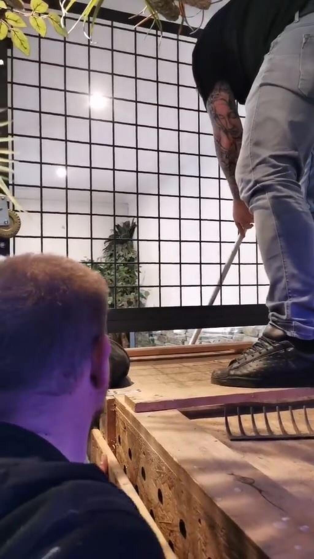 Prvému krokodílovi sa príliš nechcelo vyjsť z debny a trvalo niekoľko minút, kým o odtiaľ dostali.
