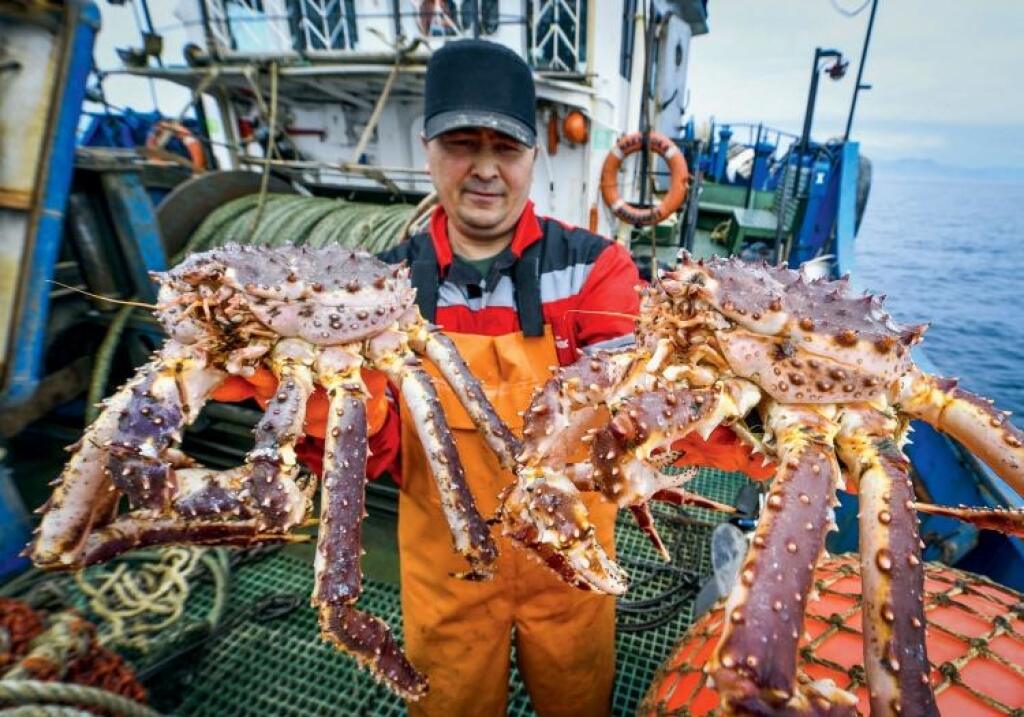 Monštrum z ľadového oceána je top pochúťka a rarita. V Bratislave ju majú