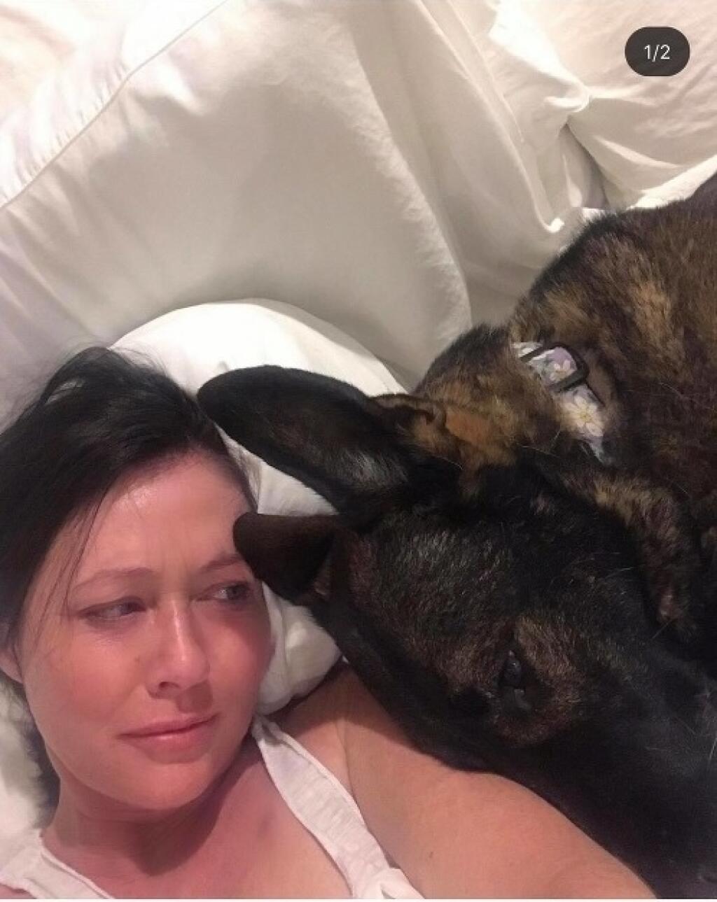 Fenka Bowie a herečka Shannen Doherty.