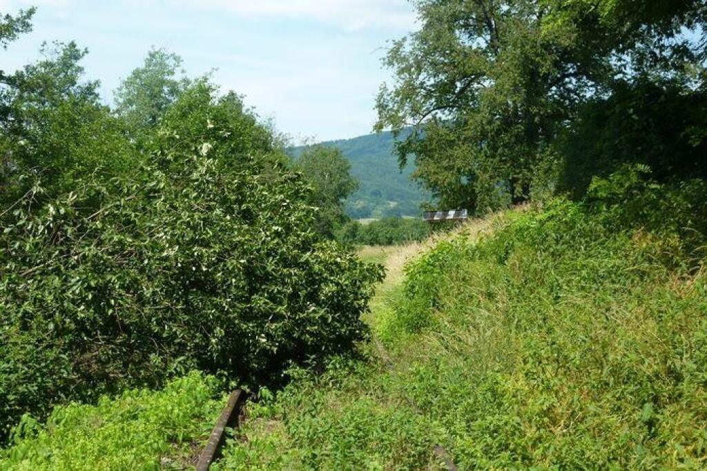 Na prázdnych koľajách porastie tráva