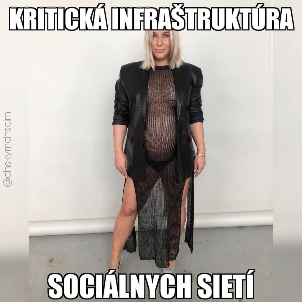 Mnohé satirické stránky po Cibulkovej odvážnom zábere zapracovali naplno a spustila sa hotová lavína vtipov a koláží, ktoré si zobrali extenistku do parády.
