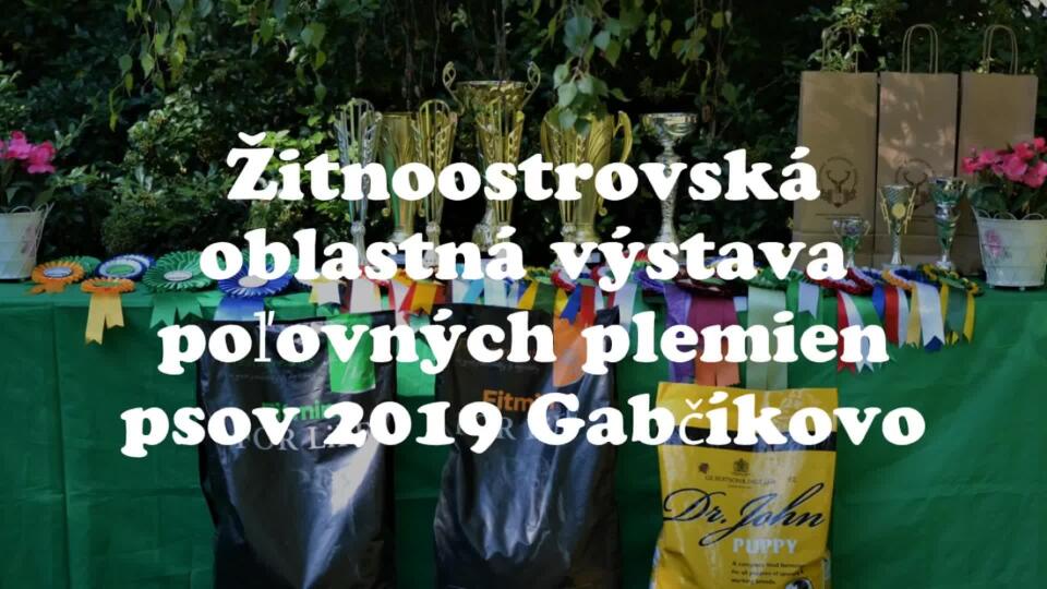VIDEO Žitnoostrovská oblastná výstava poľovných plemien psov 2019