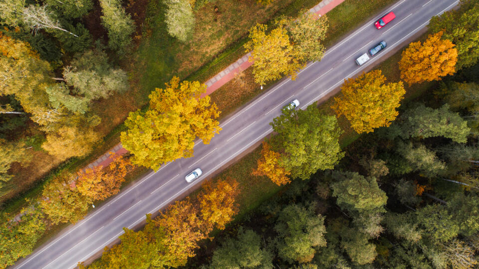 Aerial,View,Of,Thick,Forest,In,Autumn,With,Road,Cutting