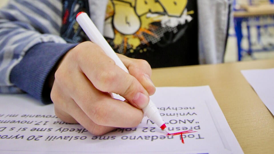 Na snímke žiak šiesteho ročníka Základnej školy Sebastián pózuje pri vytlačených statusoch poslancov NRSR plných gramatických chýb.