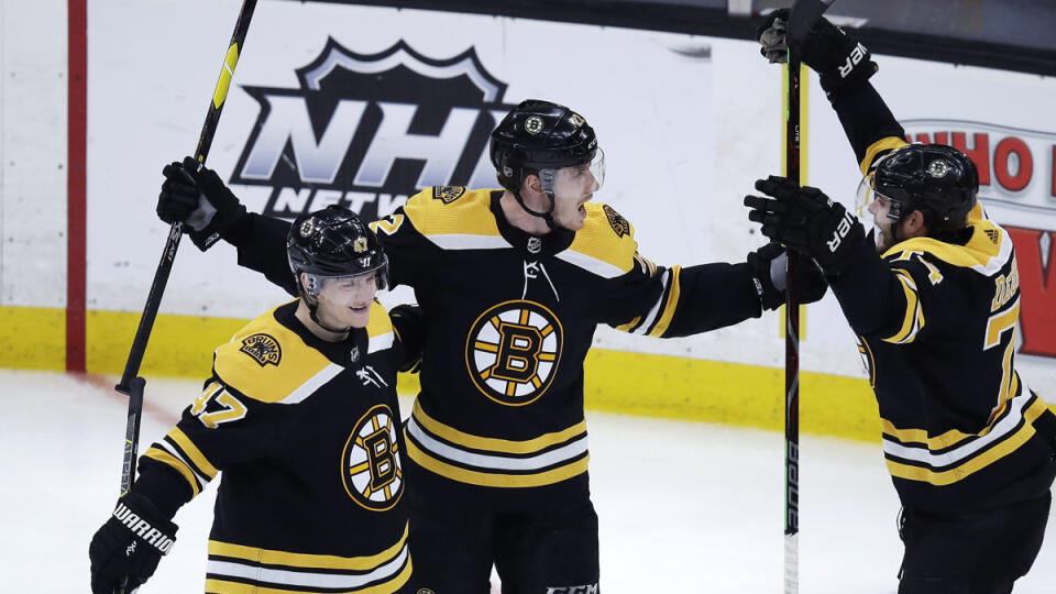 Slovenský hokejista Peter Cehlárik prispel v noci na nedeľu v zámorskej AHL gólom a asistenciou k triumfu Providence Bruins na ľade Belleville Senators 7:4.