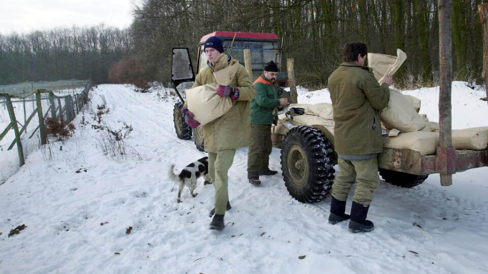 Lesníci v zime prikrmujú zver, turistov prosia: Ku kŕmidlám sa