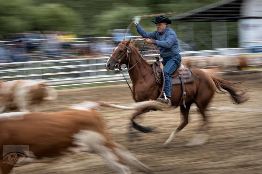 1. miesto: Jozef Fekete – Ranch roping (Prešov) v kategórii Šport a voľnočasové aktivity.