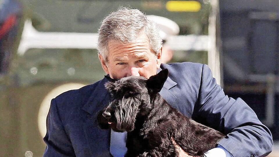 Storočná tradícia: Psy boli vždy súčasťou Bieleho domu. Tradíciu neporušil ani prezident George Bush mladší, na snímke so svojím miláčikom Barneym.