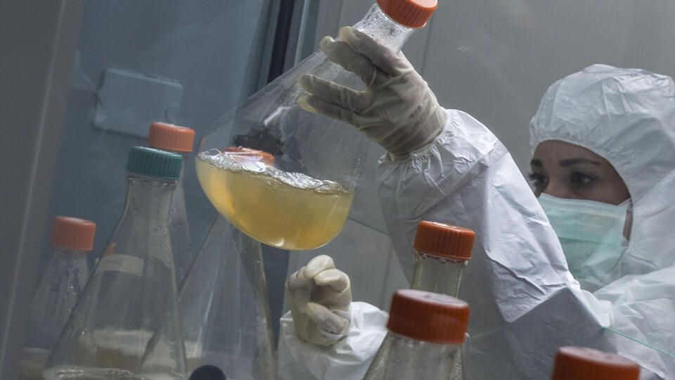 KK30 Havana - Vedkyňa pracuje na vývoji experimentálnej vakcíny Abdala proti ochoreniu Covid-19, v Centre pre genetické inžinierstvo a biotechnológiu 25. februára 2021 v Havane. FOTO TASR/AP
A scientist works on the development of Abdala, an experimental vaccine for COVID-19, at the Center for Genetic Engineering and Biotechnology (CIGB) in Havana, Cuba, Thursday, Feb. 25, 2021. (AP Photo/Ramon Espinosa)