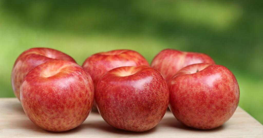 Dapple Dandy