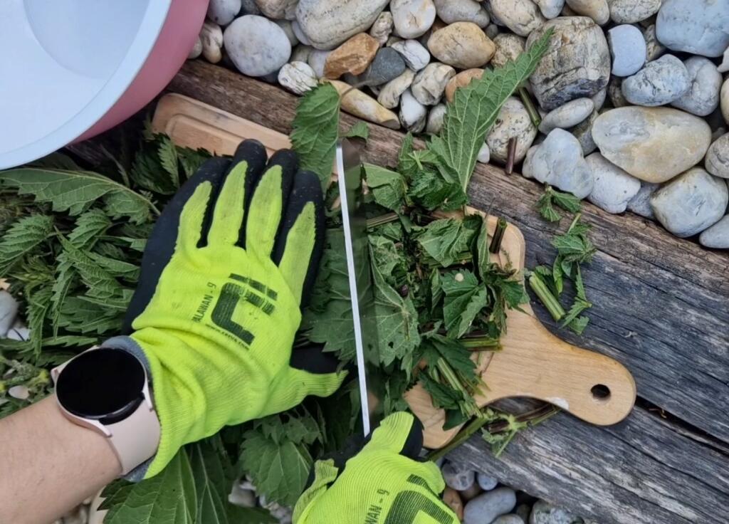 1. Nasekajte 300 g čerstvej pŕhľavy na menšie kúsky. Nezabudnite na pevné ochranné rukavice a plastovú nádobu.