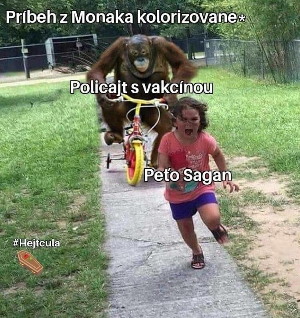 Internet si po prevalení škandálu podal Petra Sagana vtipmi.
