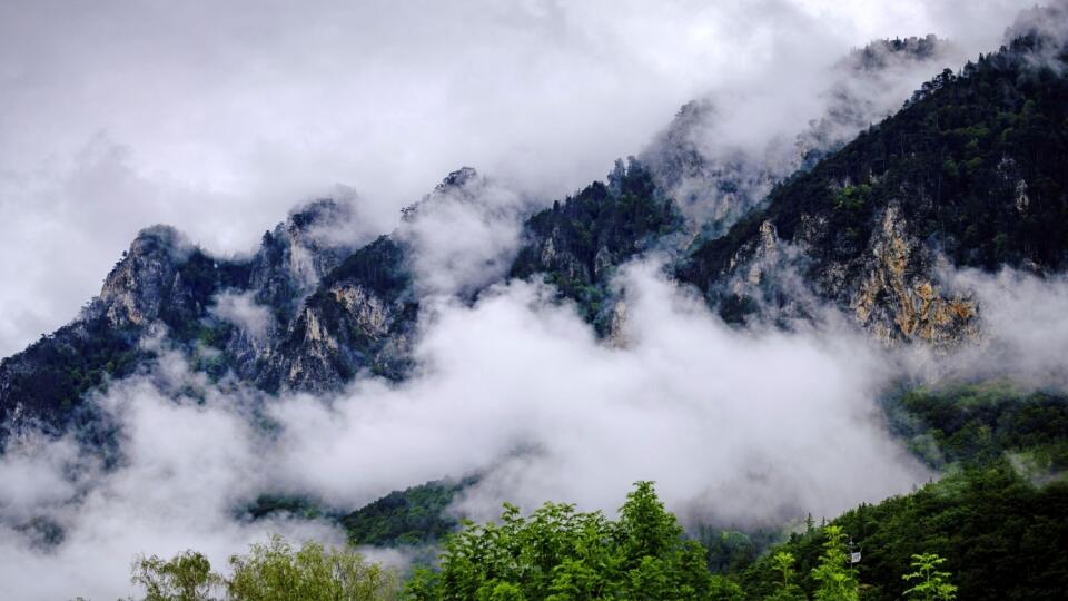 Dolné Rakúsko je najsevernejšia spolková krajina Rakúska, ktorá obklopuje hlavné mesto Viedeň. To tvorí samostatnú správnu jednotku.