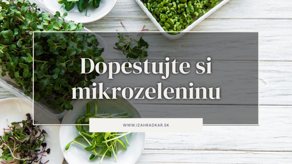 Cez zimu vitamíny doplňte pomocou mikrozeleniny!