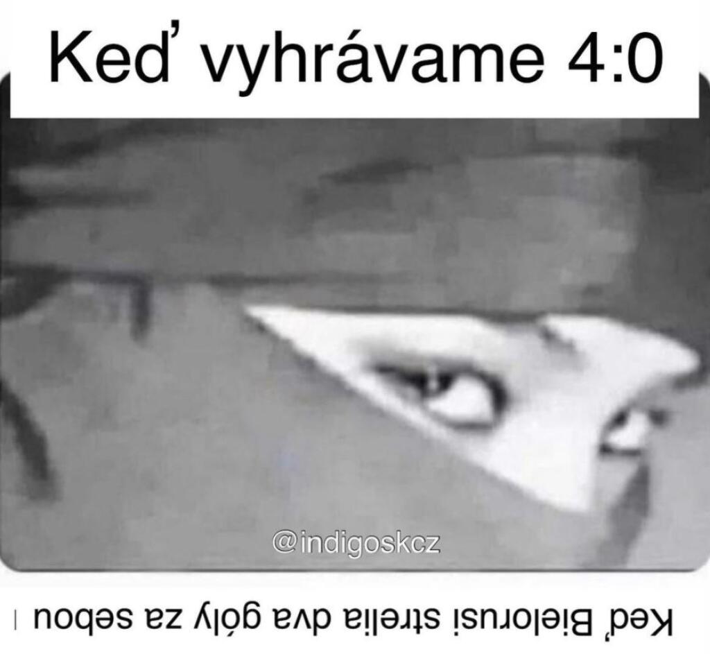 Majstrovstvá sveta v hokeji neprinášajú len krásne góly a súboje o víťazstvá, ale aj množstvo vtipov.