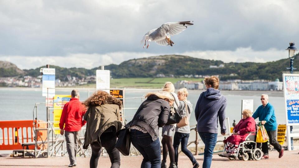 Žena vystrekla kyselinu chlorovodíkovú mladým turistkám priamo do tváre. (Ilustračné foto)