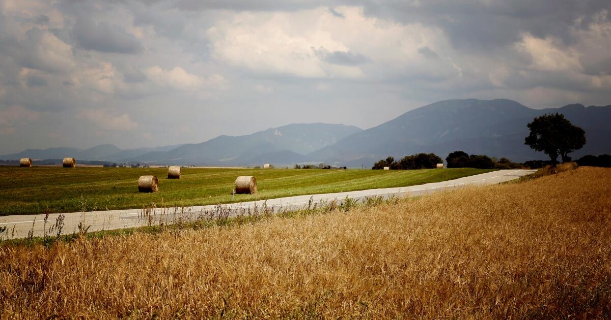 Les agriculteurs combattent le temps, l’ennemi est la sécheresse