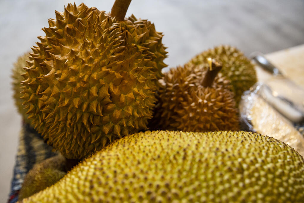 Na snímke v popredí jackfruit z Ugandy a v pozadí durian počas Afrických trhov v Bratislave 15. decembra 2019. FOTO TASR – Jaroslav Novák