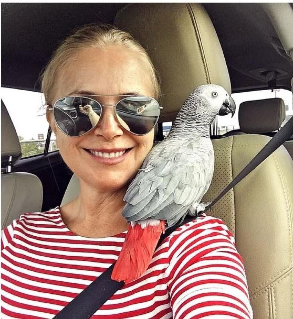 Zuzana Vačková mala 5 rokov hovoriaceho papagája Bejby, o ktorého rodina nečakane prišla pred dvomi rokmi. „Ťažko sa s tým učím žiť. Naša Bejby s nami bola päť krásnych rokov,“ napísala vtedy na sociálnej sieti Zuzana s tým, že samička žaka odišla náhle a nečakane.