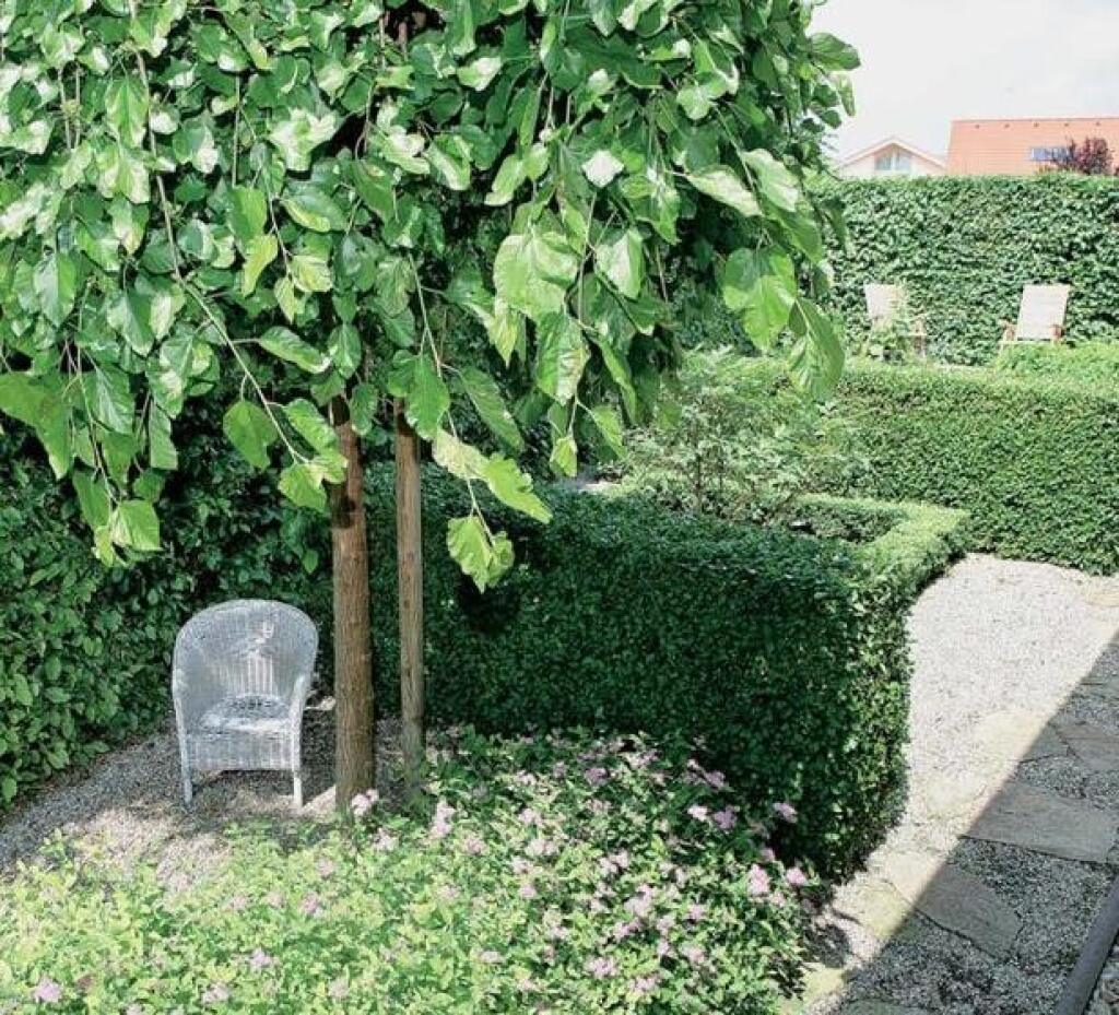 V západnej ãasti záhrady nájdete iba štrkové záhony
a čiastočne izolovanú možnosť posedenia. Previsnutá moruša
už prináša plody, Živý plot z hrabu chráni od susedov.