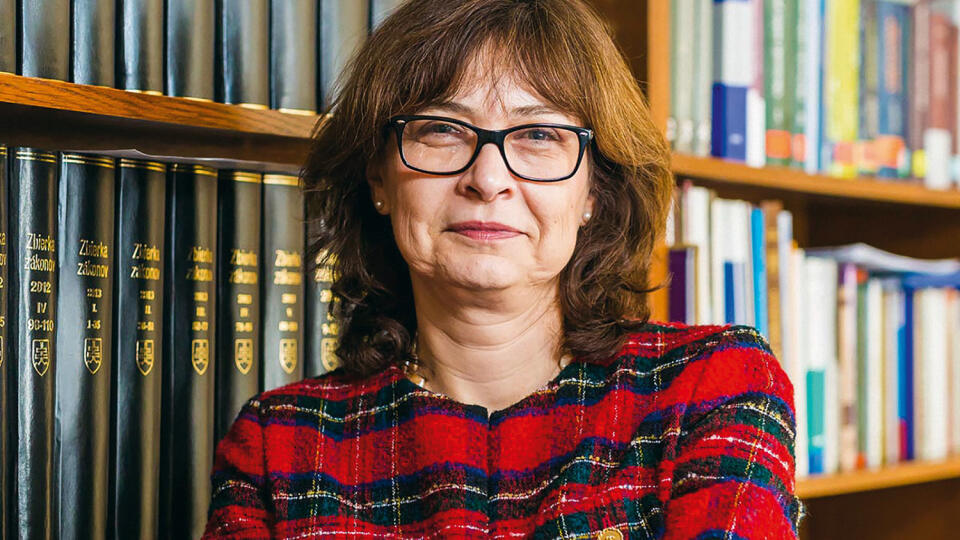 Bývalá ministerka spravodlivosti Lucia Žitňanská podala dovolanie v prípade oslobodzujúcich rozsudkov nad ruskými podnikateľmi Alexandrom a Sergejom Salmanovcami ešte v roku 2017.