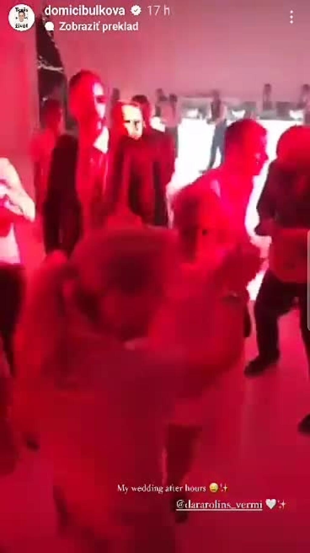 FOTO Súkromné zábery zo svadby Cibulkovej! Takto tam šantila s Rolinsovou