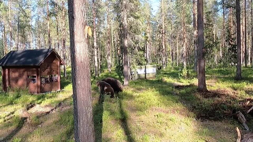 Kto by si trúfol vymeniť kameramana pri tomto ZÁPASE! Tak toto je SILA!