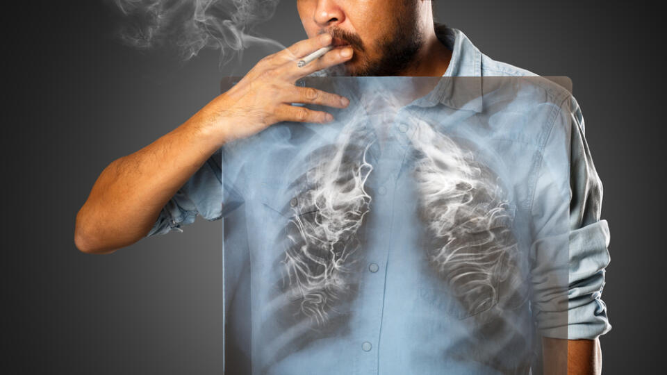 The lungs repair damaged tissues and the organ of former smokers is regenerated.