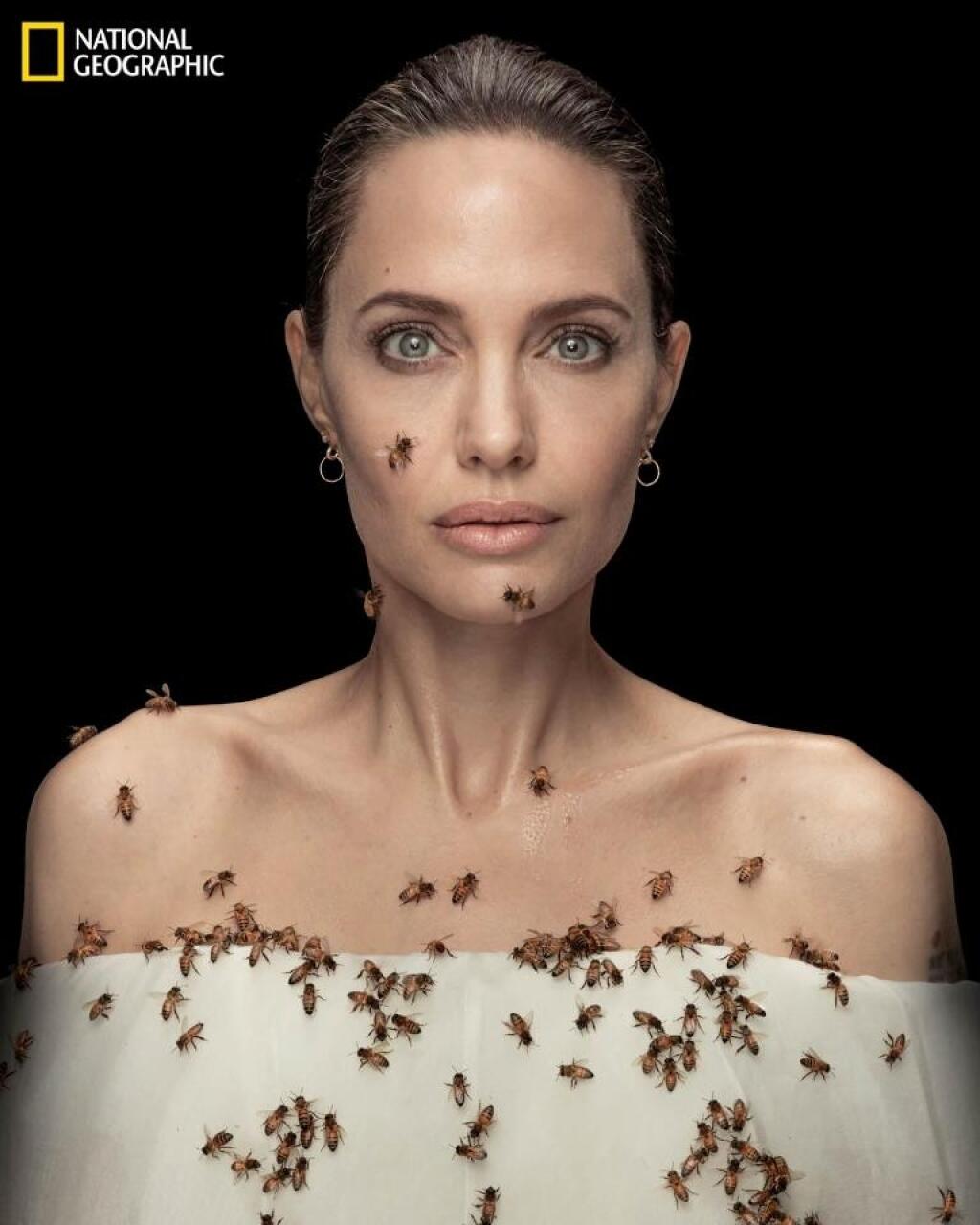 Angelina Jolie