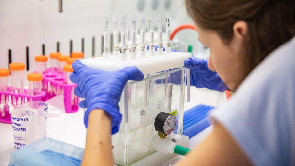 Biochemik Pavol Čekan, zakladateľ spoločnosti MultiplexDX, ktorá sa venuje vývoju presnejšej diagnostiky rakoviny.