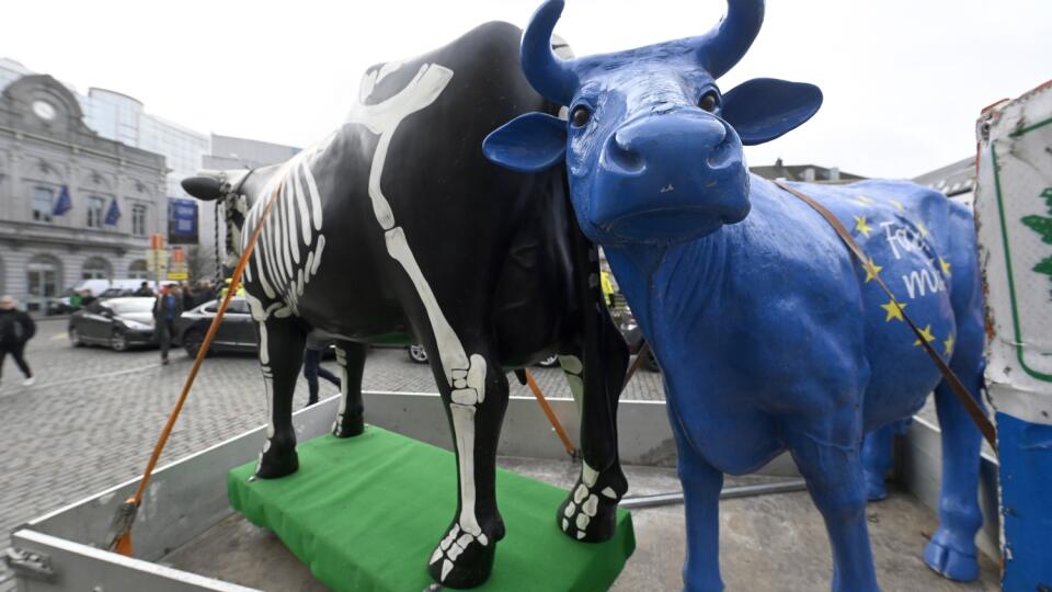Demonstration by French and European farmers.