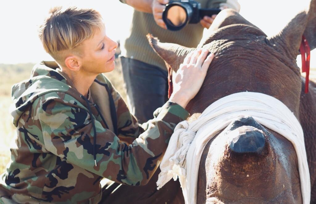 Charlene officially went to Africa because of rhinos.  She has stayed there for many months due to the alleged illness, and eccentric cuts indicate that she is not completely mentally healthy.