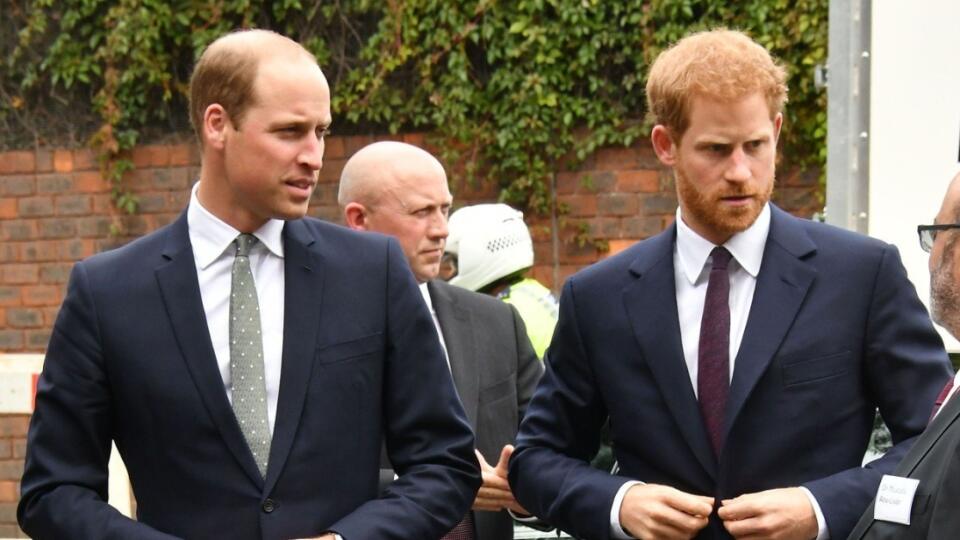 Princovi William a Harry