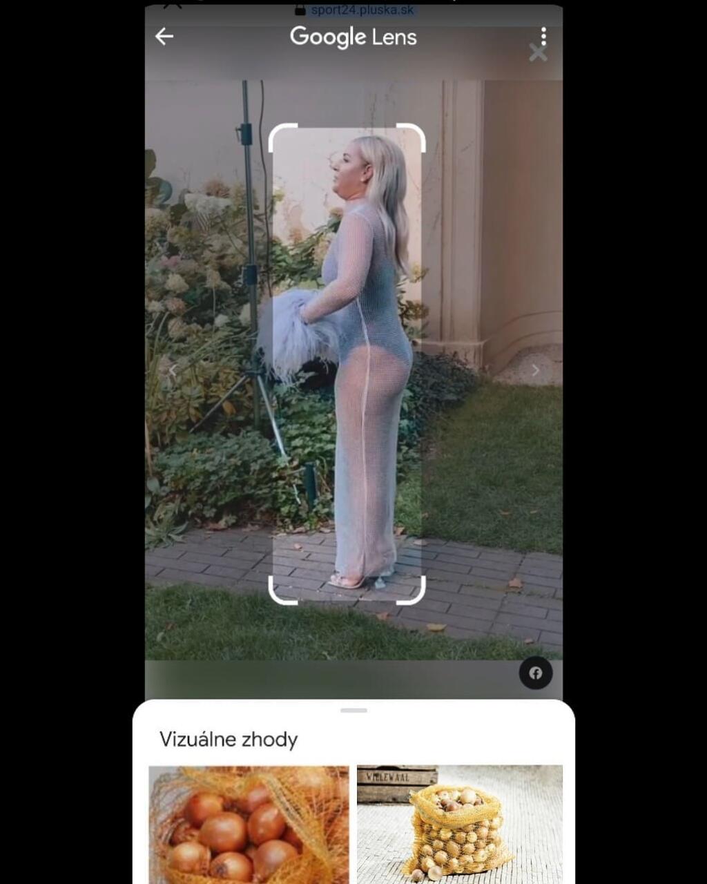 Potom, ako Cibulková prišla na párty v sieťkovanom outfite, sa nevyhla aj takýmto vtipom na sociálnych sieťach.