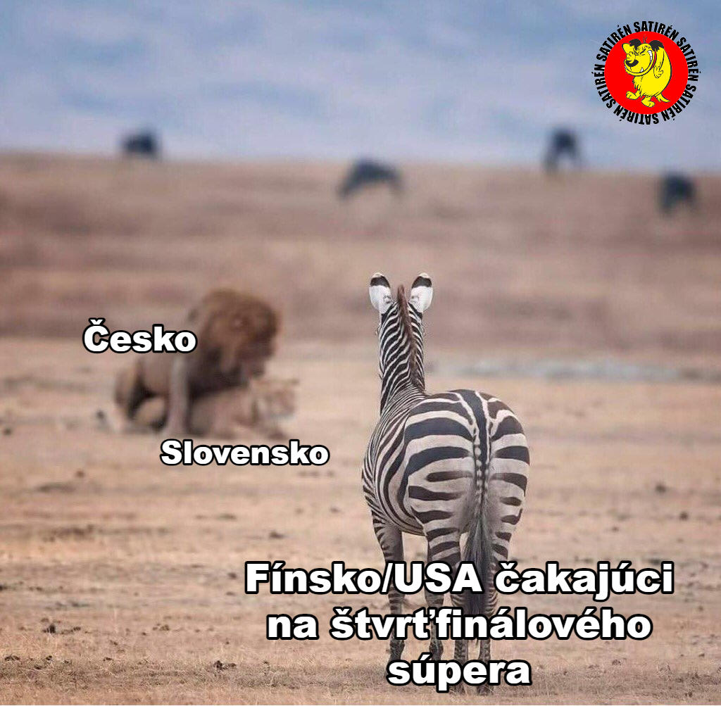 V derby proti Česku sme sa nestihli rozpamätať a už sme prehrávali. Napokon sme schytali ďalší debakel 3:7.