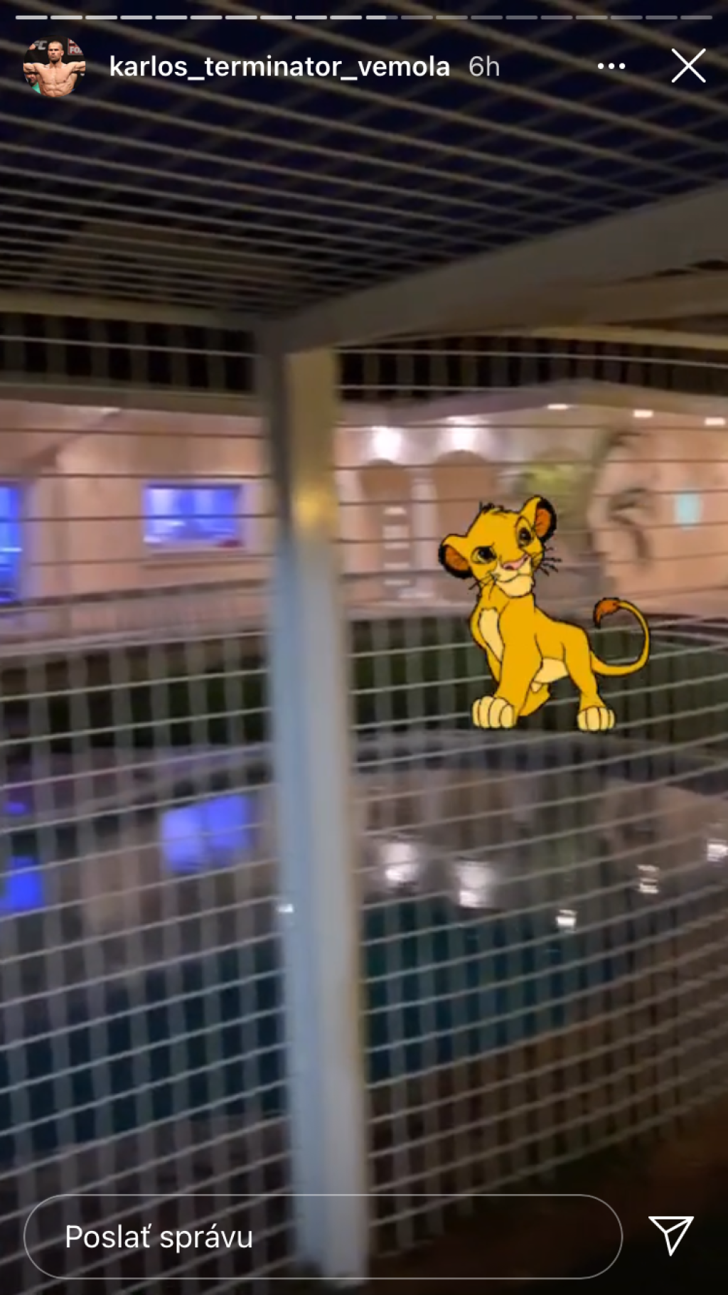 Karlos Vémola vystaval levici Else luxusnú voliéru, ktorú môžu závidieť aj v zoologickej záhrade.