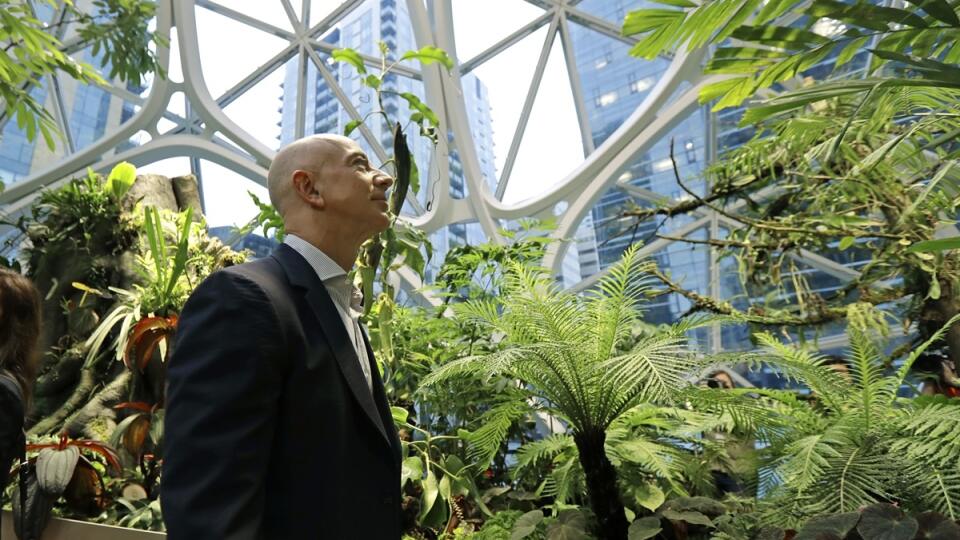 Amazon Spheres