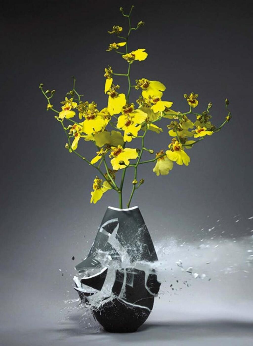 Звук разбитой вазы. Креативные цветы.