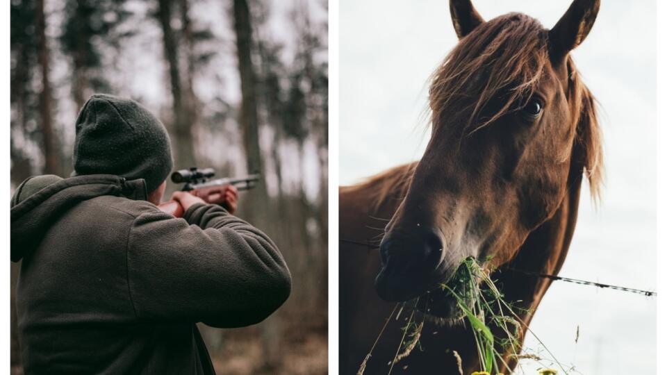 Ilustračná fotografia