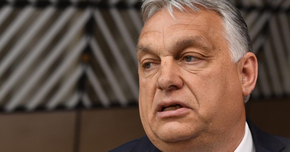 Deutscher Europaabgeordneter schockiert über seine Aussage zu Russland und Orbán