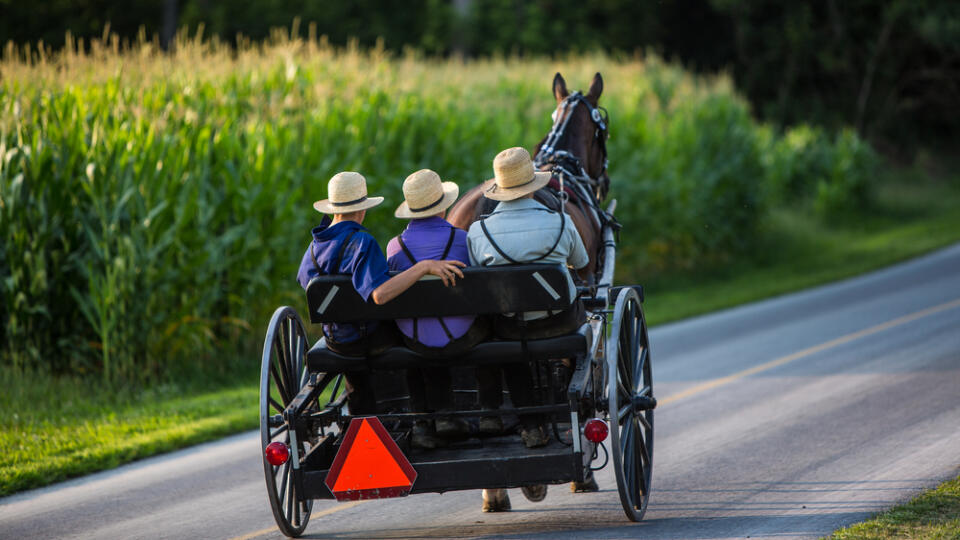 Three,Young,Amish,Men,In,Open,Buggy,Going,Down,Country