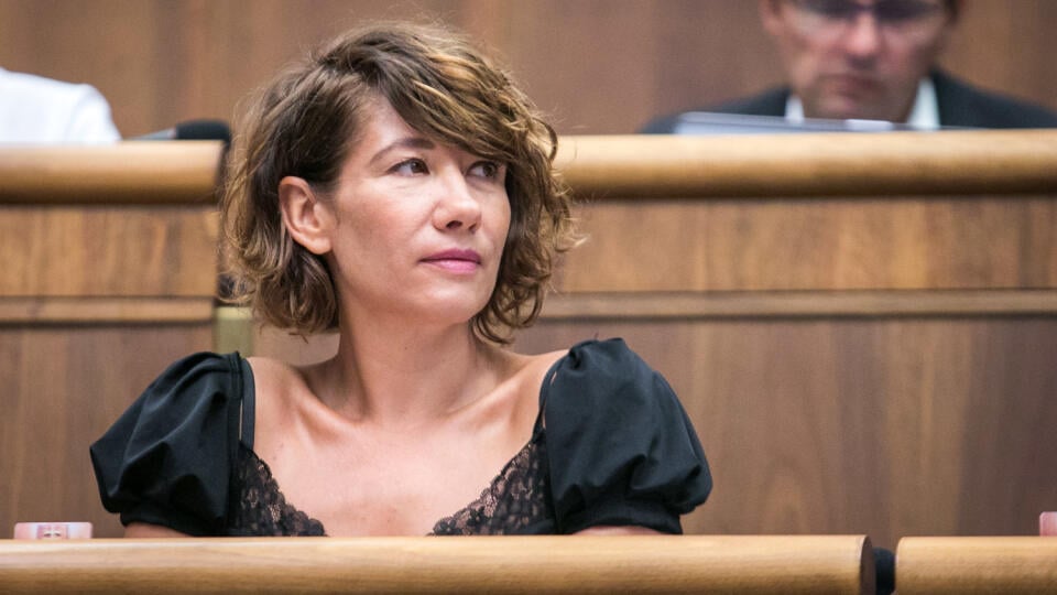 Lucia Ďuriš Nicholsonová pri úprave chalupy sama priložila ruku k dielu. 