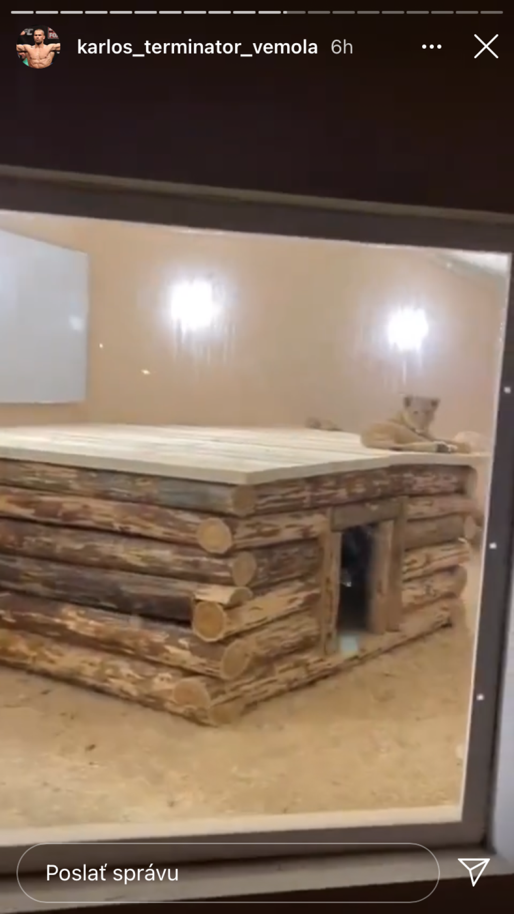 Karlos Vémola vystaval levici Else luxusnú voliéru, ktorú môžu závidieť aj v zoologickej záhrade.
