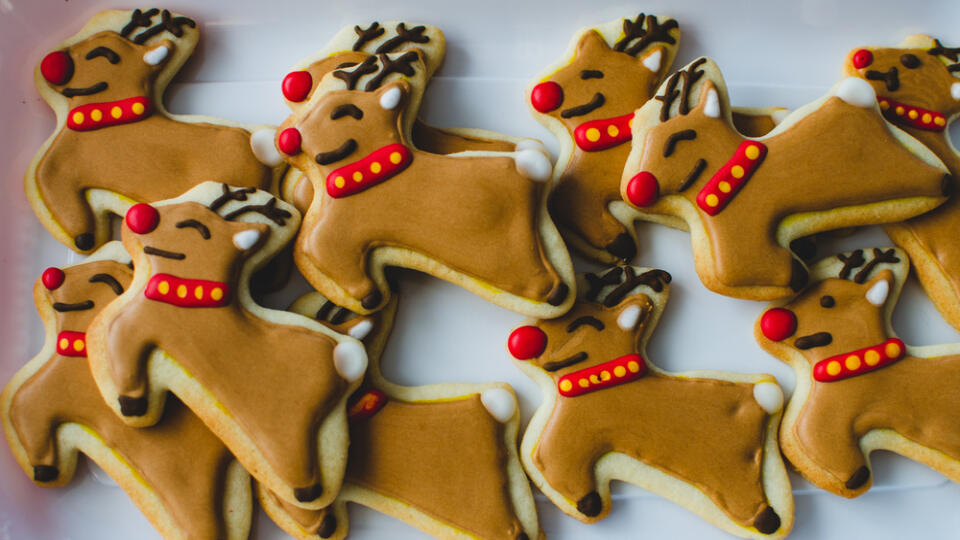 Close-up,Of,Homemade,Rudolph,The,Red-nosed,Reindeer,Christmas,Cookies
